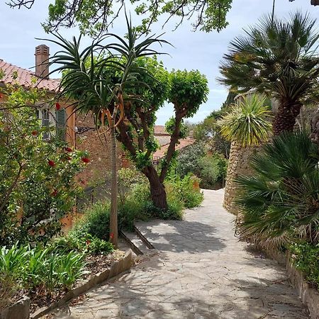Appartement Bright 29M With Nice View In Bormes-Les-Mimosas Extérieur photo